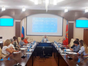 Директор Департамента Л.Е. Кукушкина приняла участие в очередном заседании рабочей группы по соблюдению прав и законных интересов детей, проживающих в детских домах-интернатах 